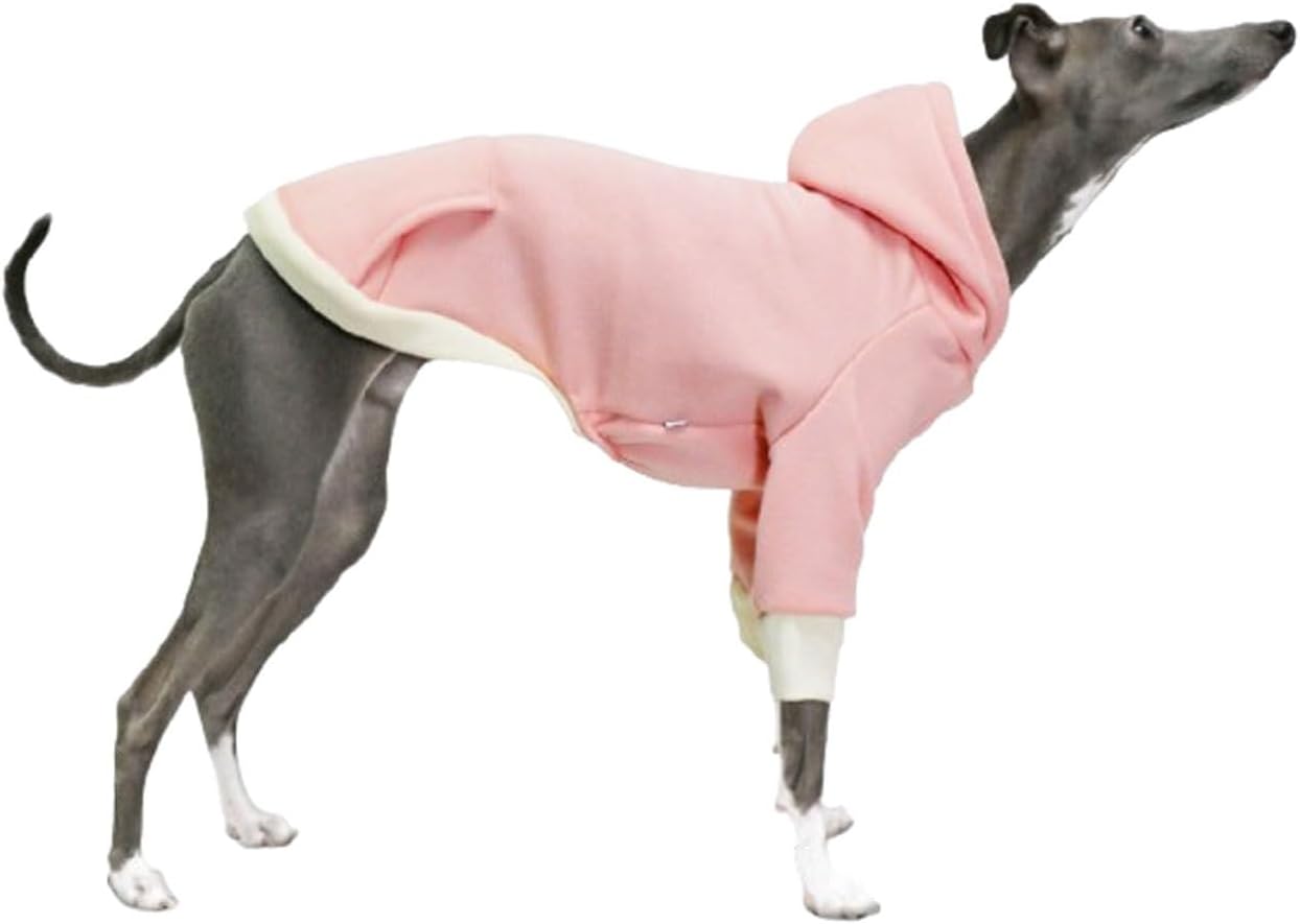 Bluza z kapturem dla whippeta