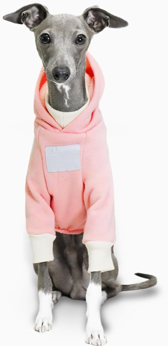 Bluza z kapturem dla whippeta
