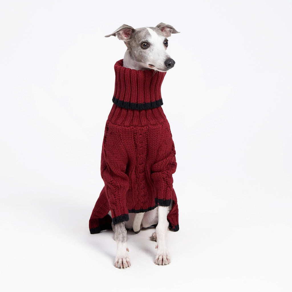 Sweter z golfem dla whippeta