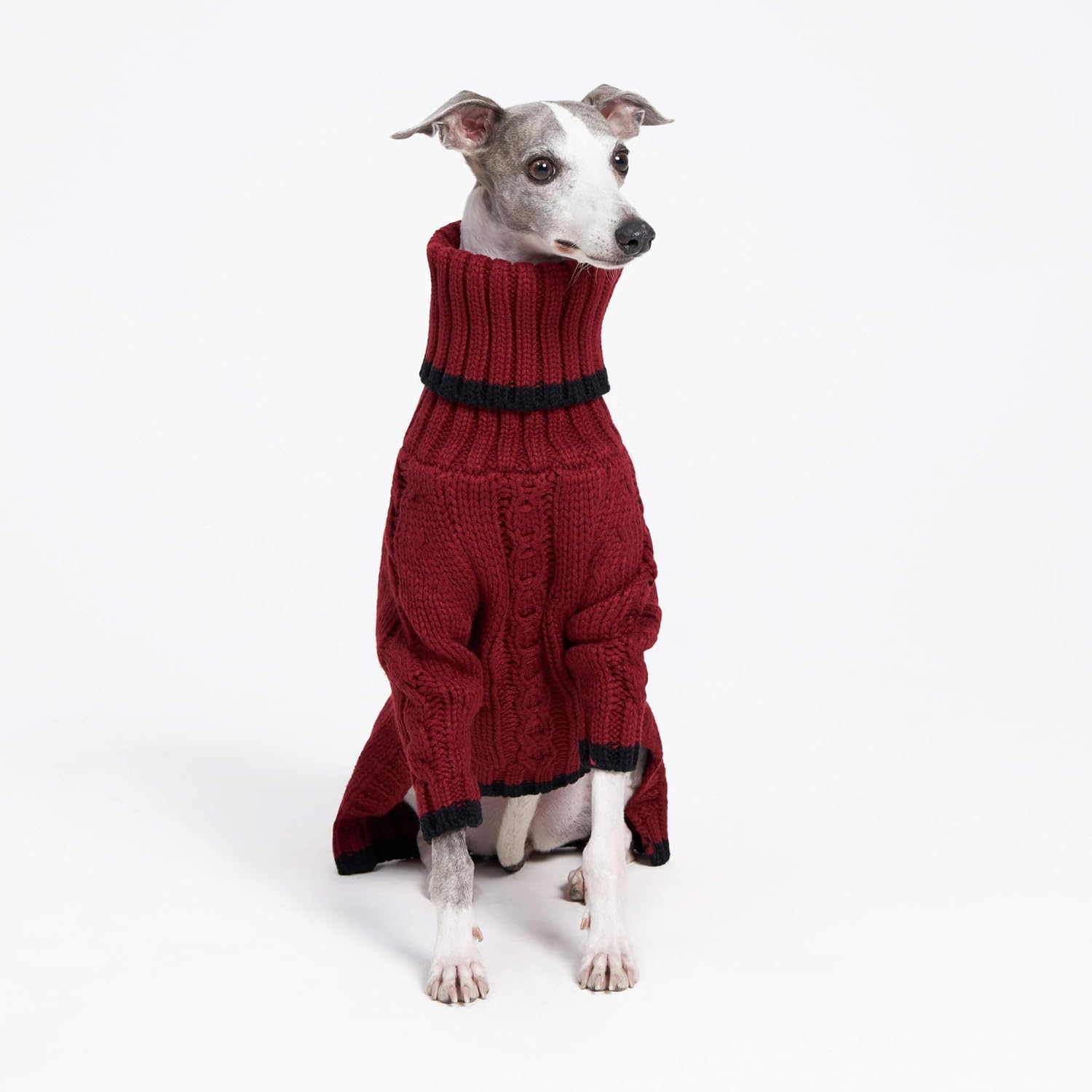 Sweter z golfem dla whippeta