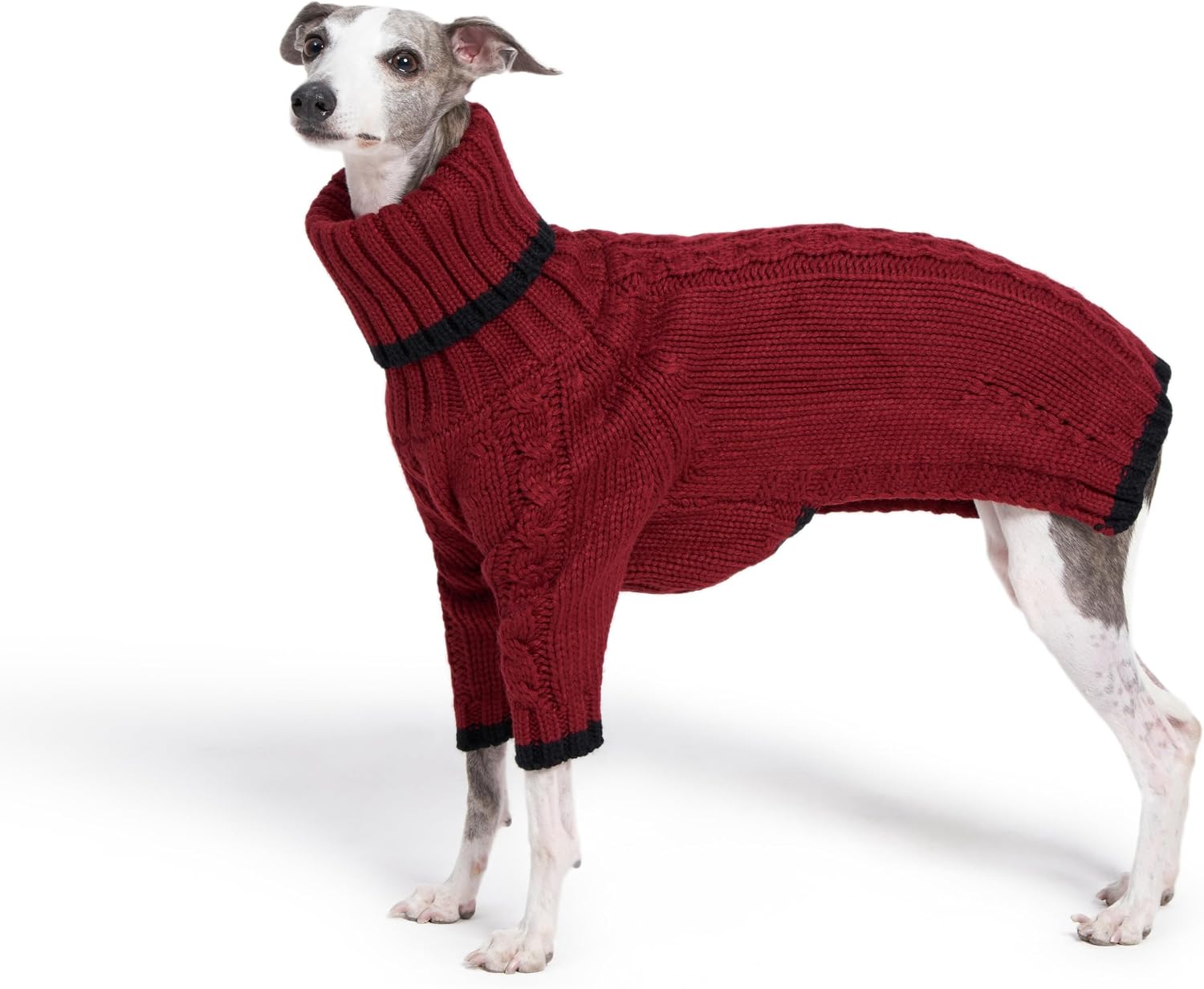 Sweter z golfem dla whippeta
