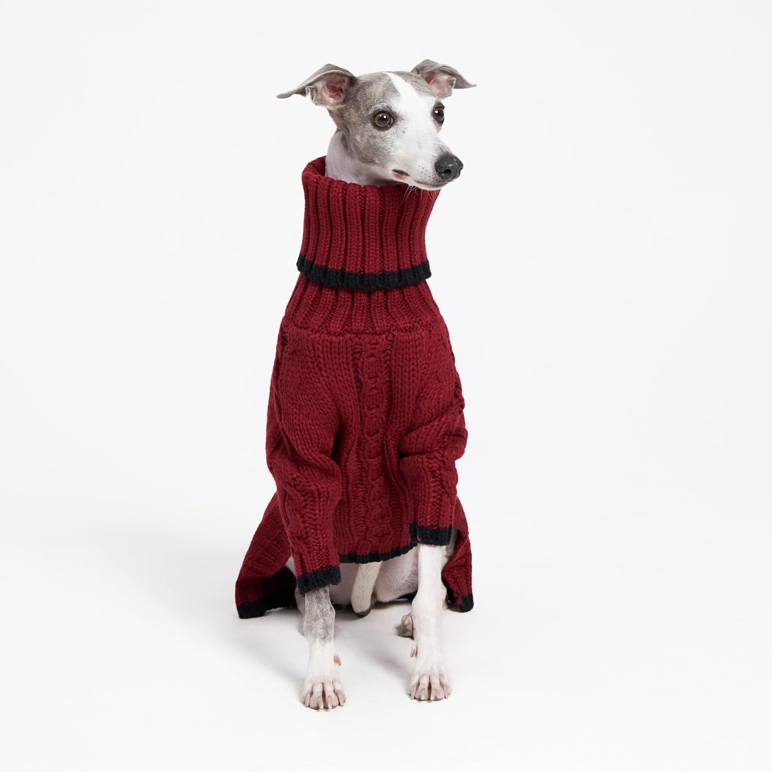 Sweter z golfem dla whippeta