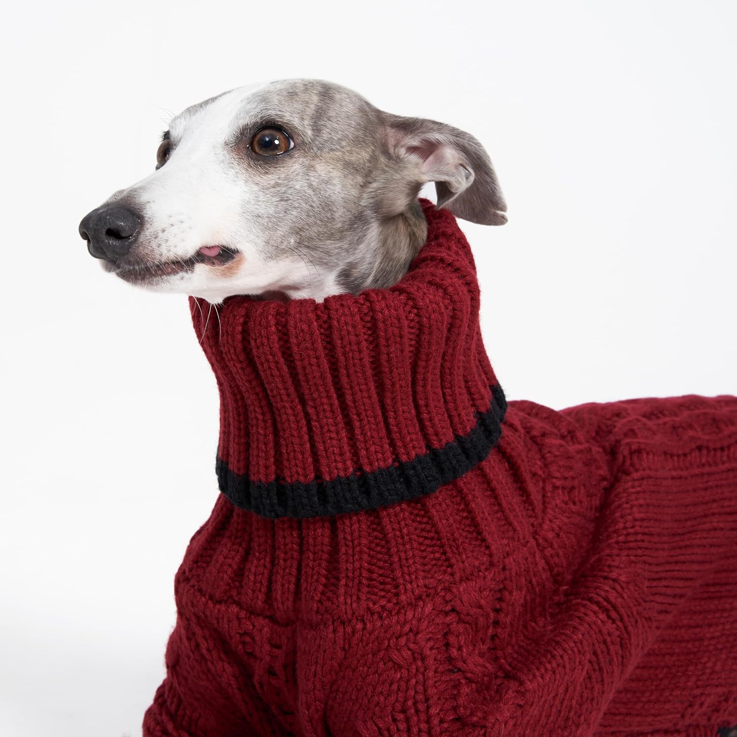 Sweter z golfem dla whippeta