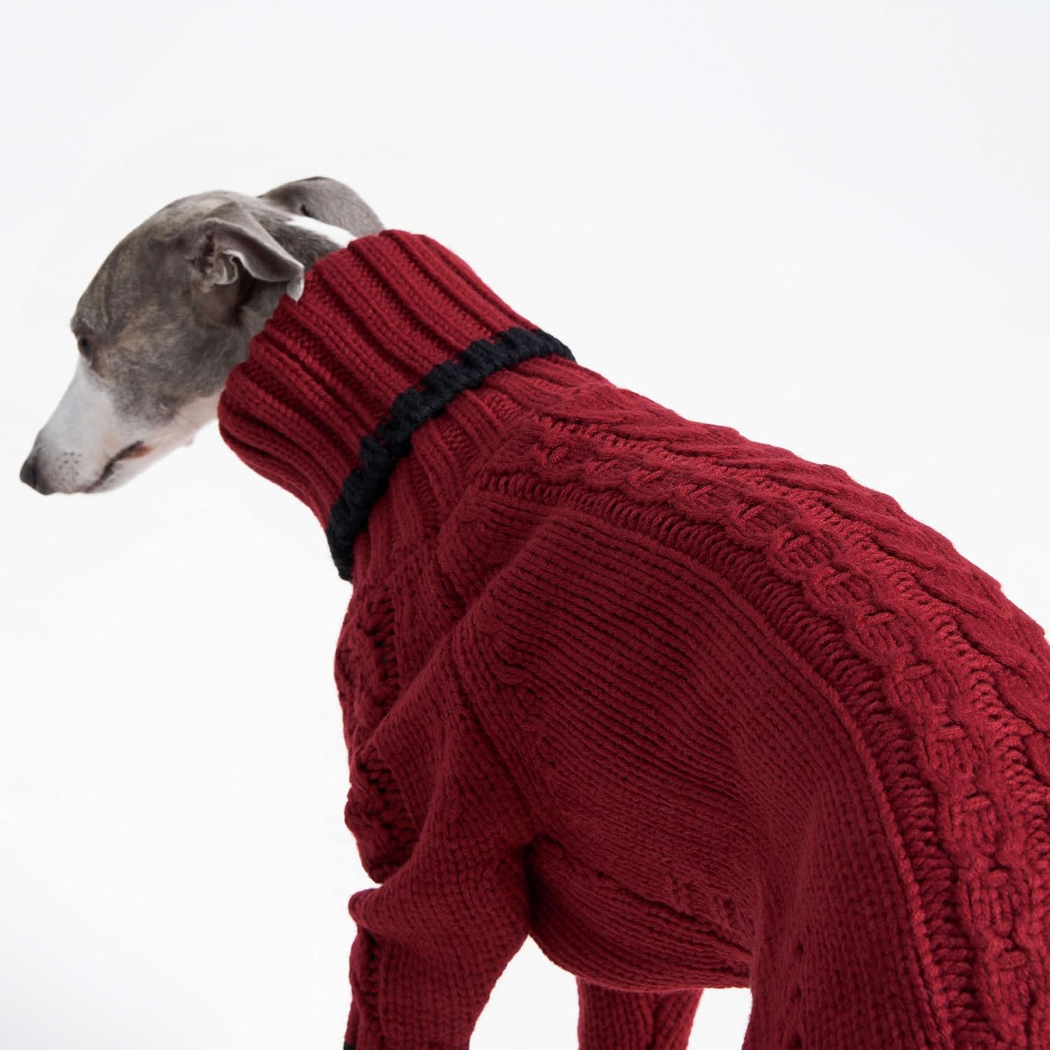 Sweter z golfem dla whippeta