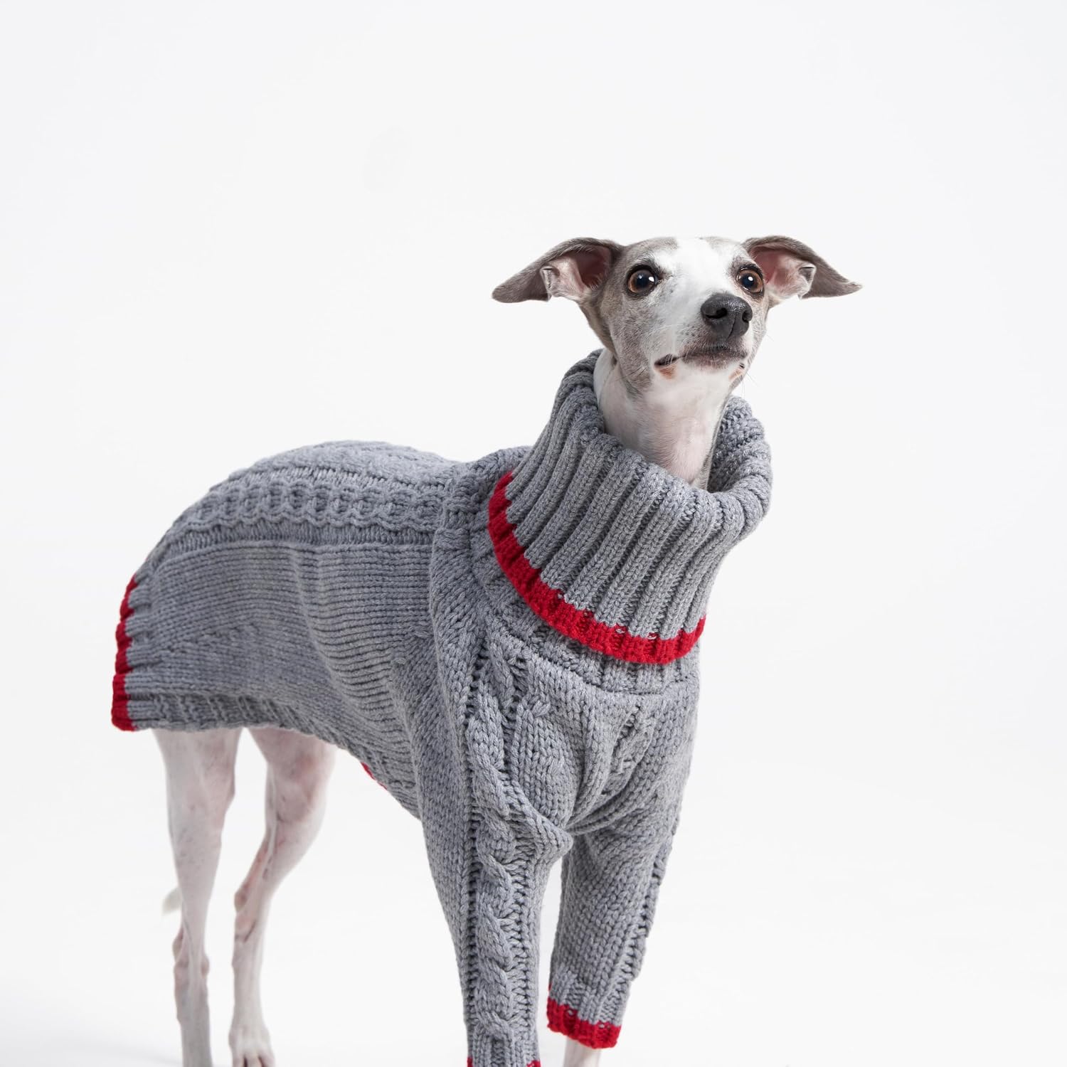 Sweter z golfem dla whippeta