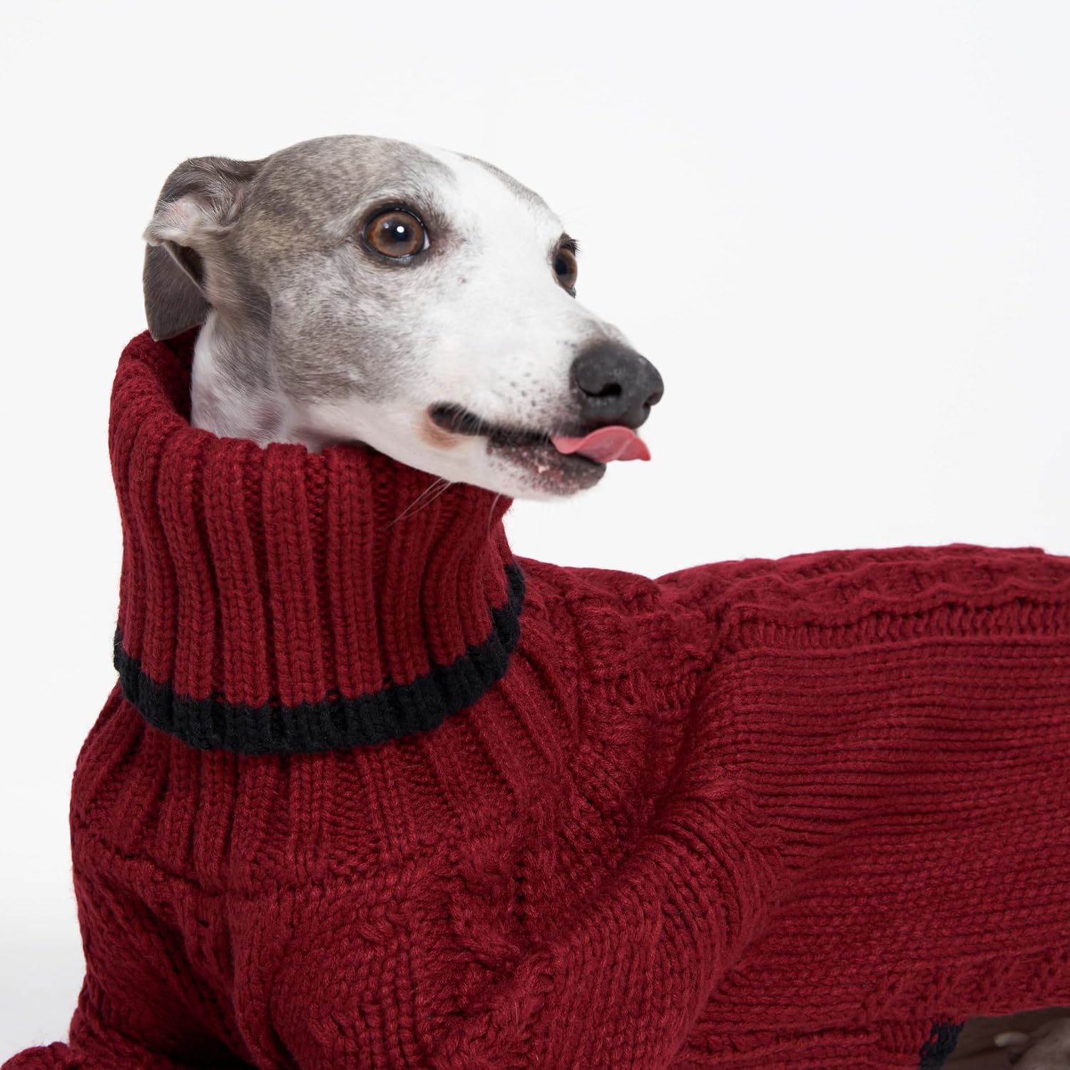 Sweter z golfem dla whippeta