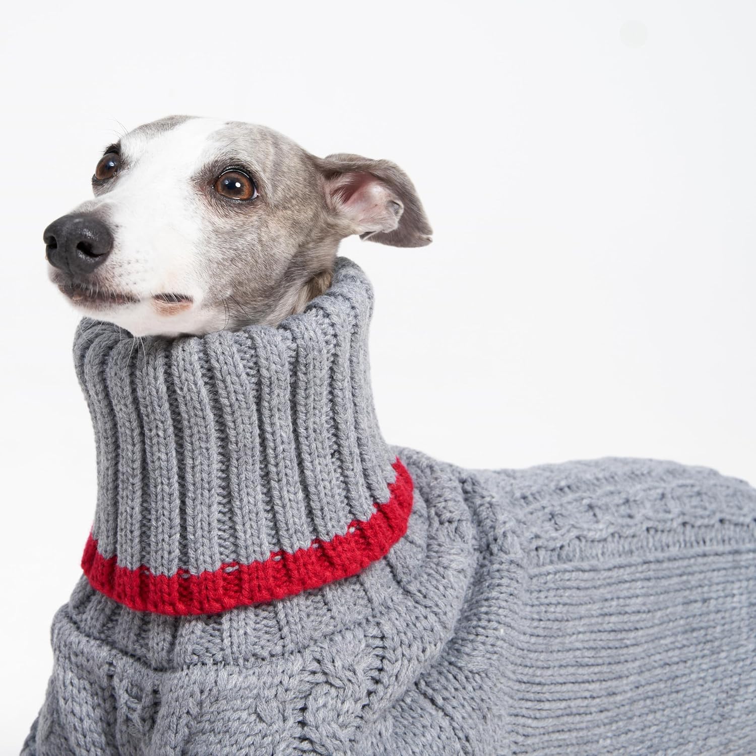 Sweter z golfem dla whippeta